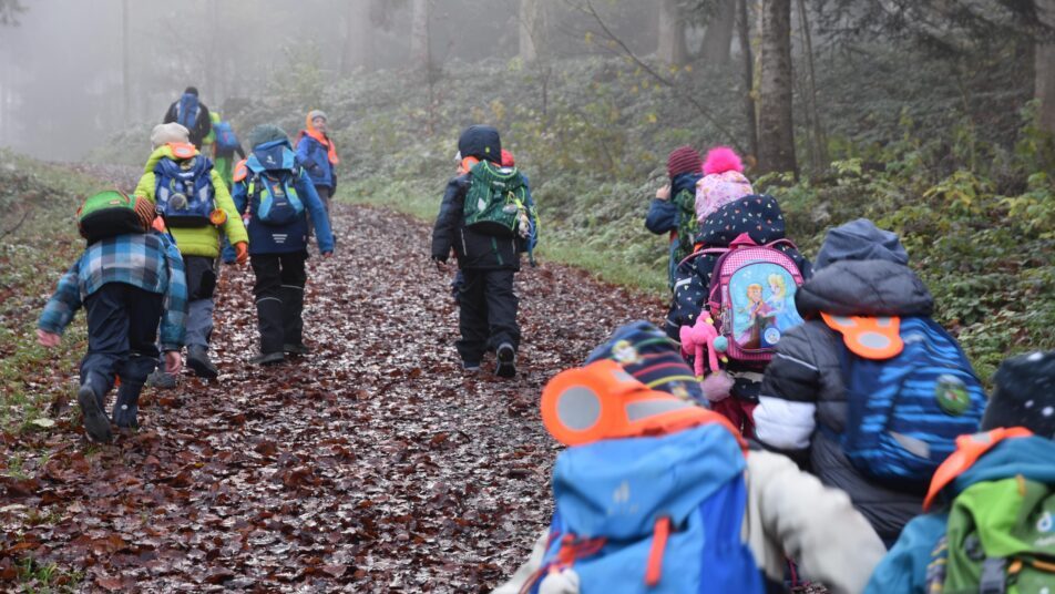 Regelmässig besuchen Herisauer Kindergärten den Wald. (Bilder: gk)
