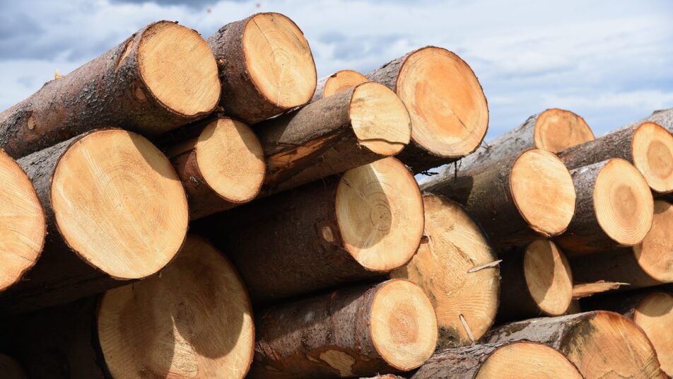 Für das Schweizer Holz sollen Richtpreise veröffentlicht werden. (Bild: Hans Ulrich Gantenbein)