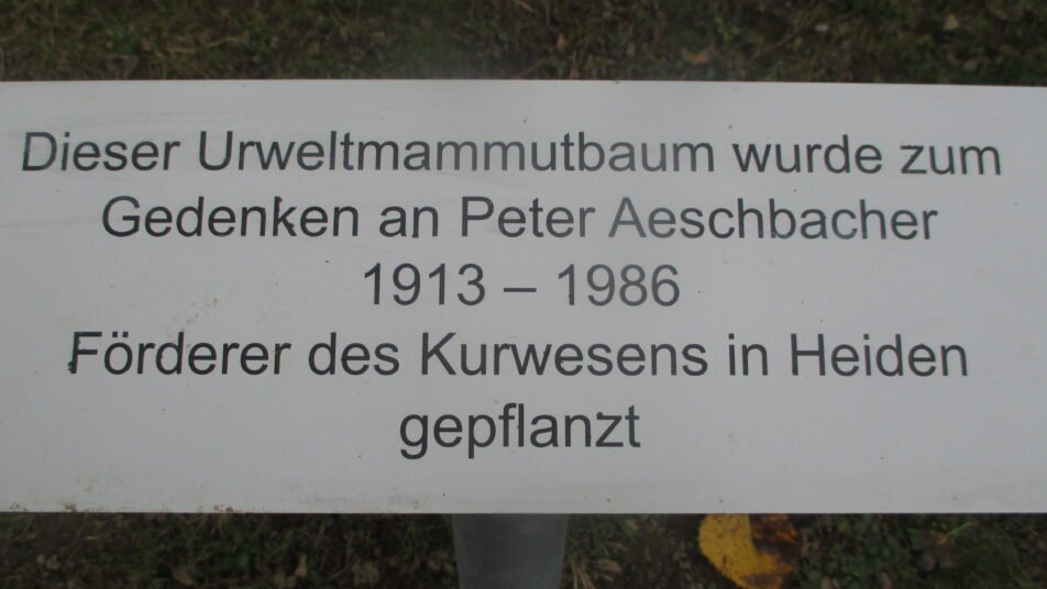 Im Park beim Kursaal wird an Peter Aeschbacher erinnert. (Bild: Peter Eggenberger)