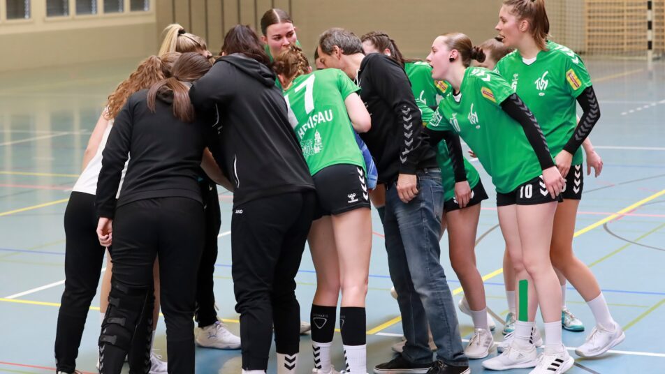 Die Handballerinnen des TV Herisau reiten derzeit auf einer Erfolgswelle.   (Bild: zVg)