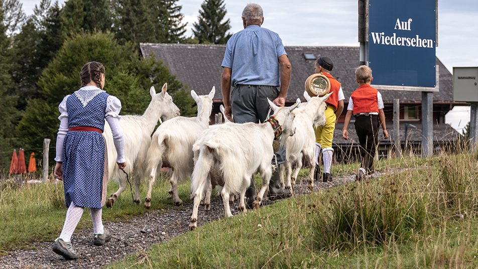 Am Samstag sind die ersten Schwägalp-Sennen wieder zurückgekehrt auf ihre Höfe im Tal.  (Bilder: Monika Schmid)
