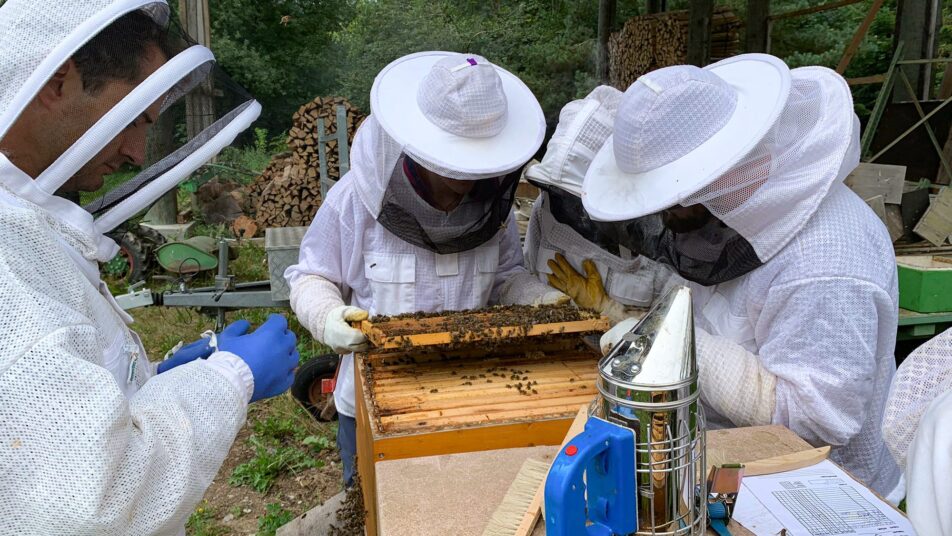 Besuch bei einem eingewinterten Bienenstand in Bühler.