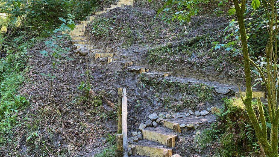 Der Weg  Richtung Rehetobel ist über die neue Treppe gut begehbar.  (Bild: zVg)