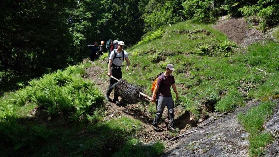 Die Freiwilligen des Bergwaldprojektes arbeiten noch bis zum 24. September im und rund um den Alpstein. (Bilder: zVg)