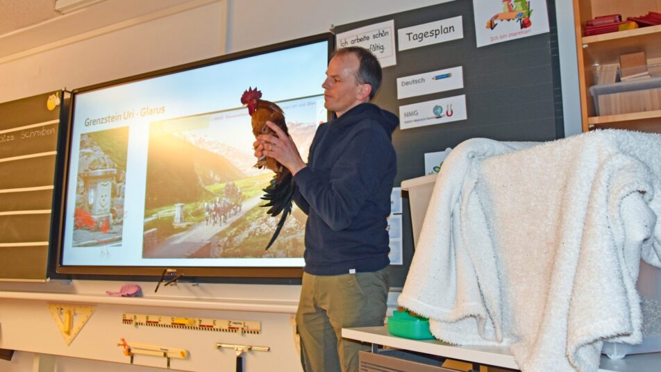 Pirmin Baumann, Schulpräsident, lässt den Hahn aus dem Korb. (Bilder: zVg)